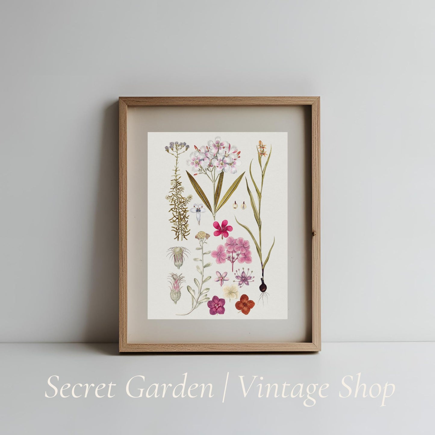 023 Vintage Botanical Art Print