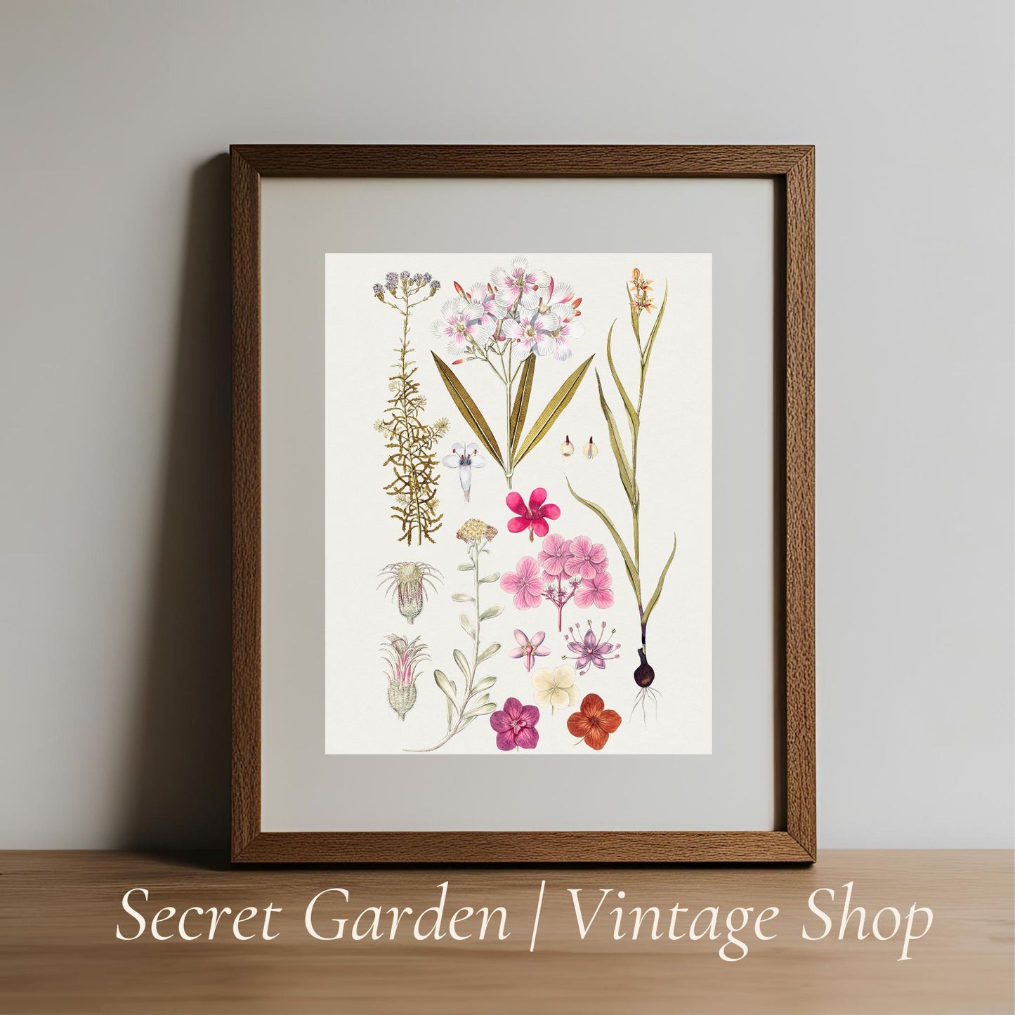 023 Vintage Botanical Art Print