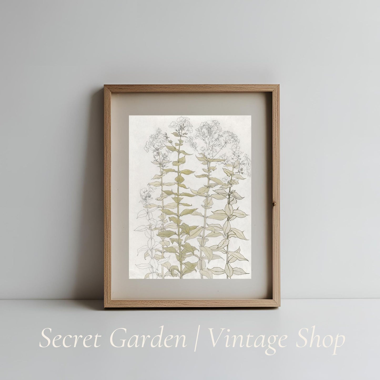 024 Vintage Botanical Art Print