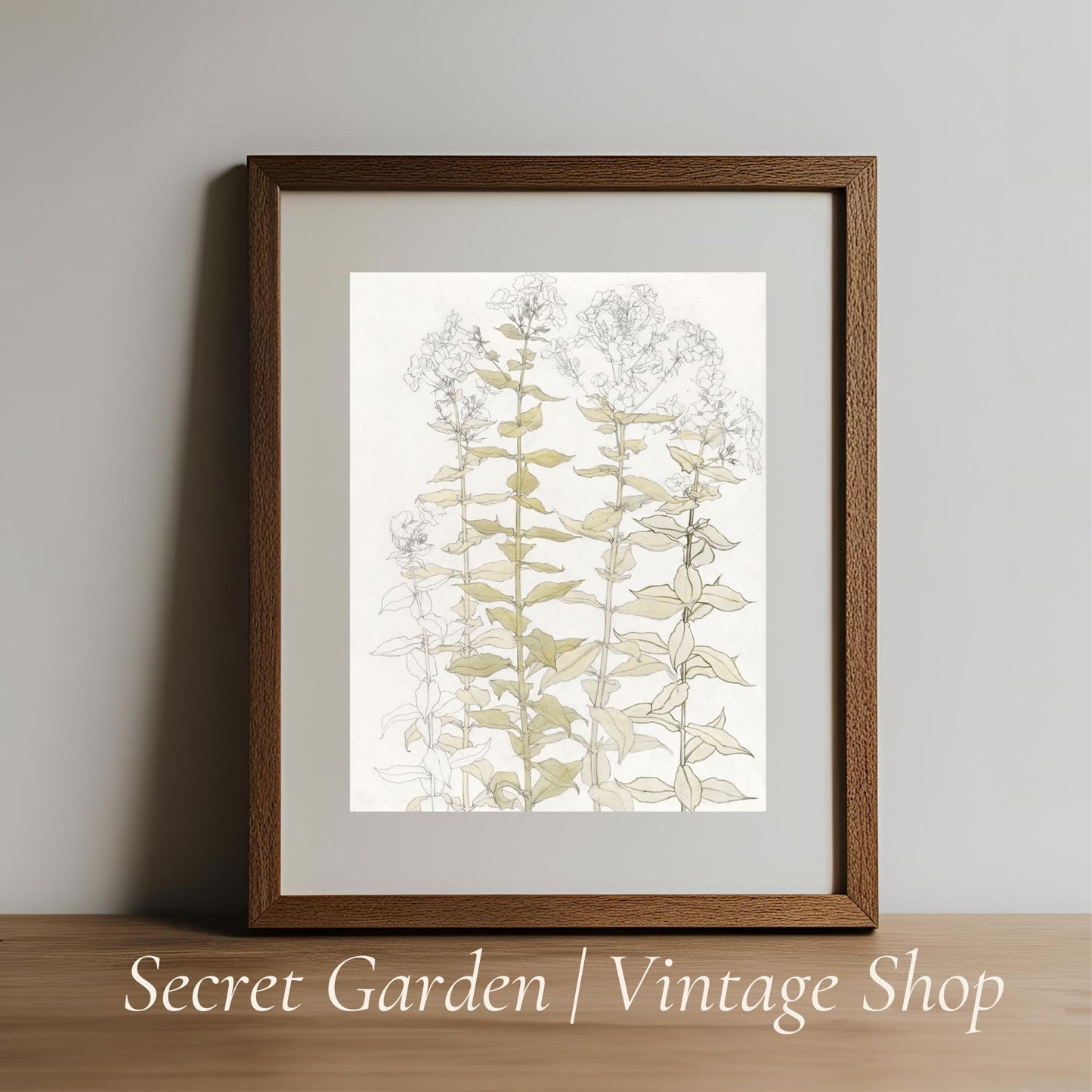 024 Vintage Botanical Art Print