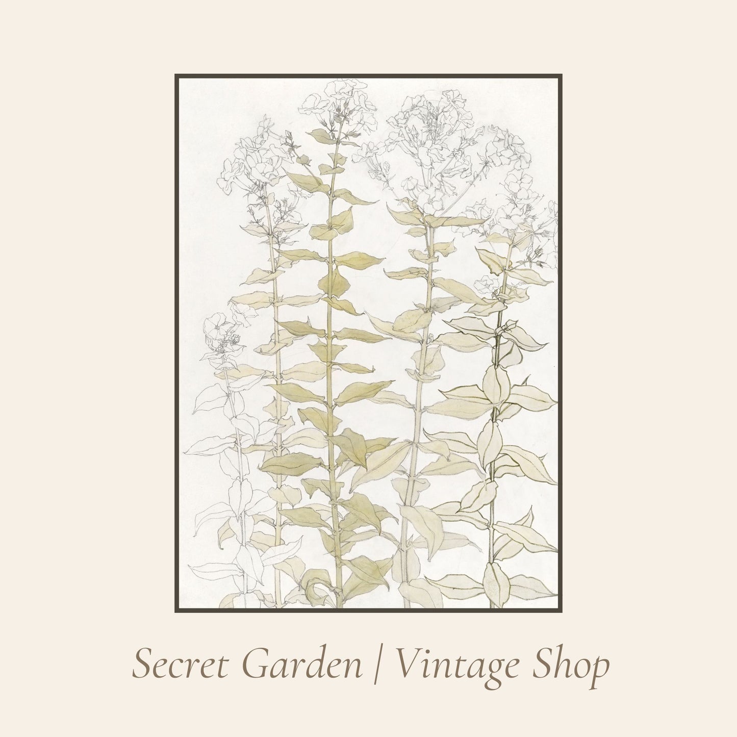 024 Vintage Botanical Art Print