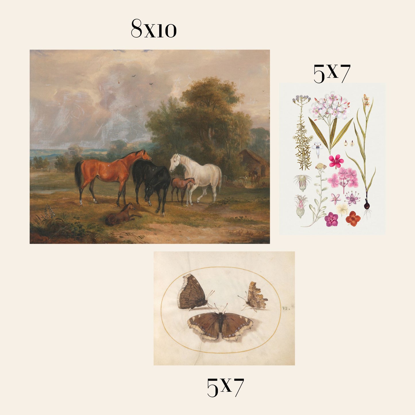 Vintage Art Prints - Gallery Wall #2 (no frames)