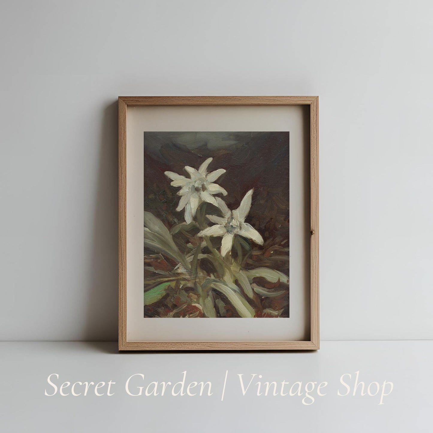 009 Edelweiss Flower Art Print
