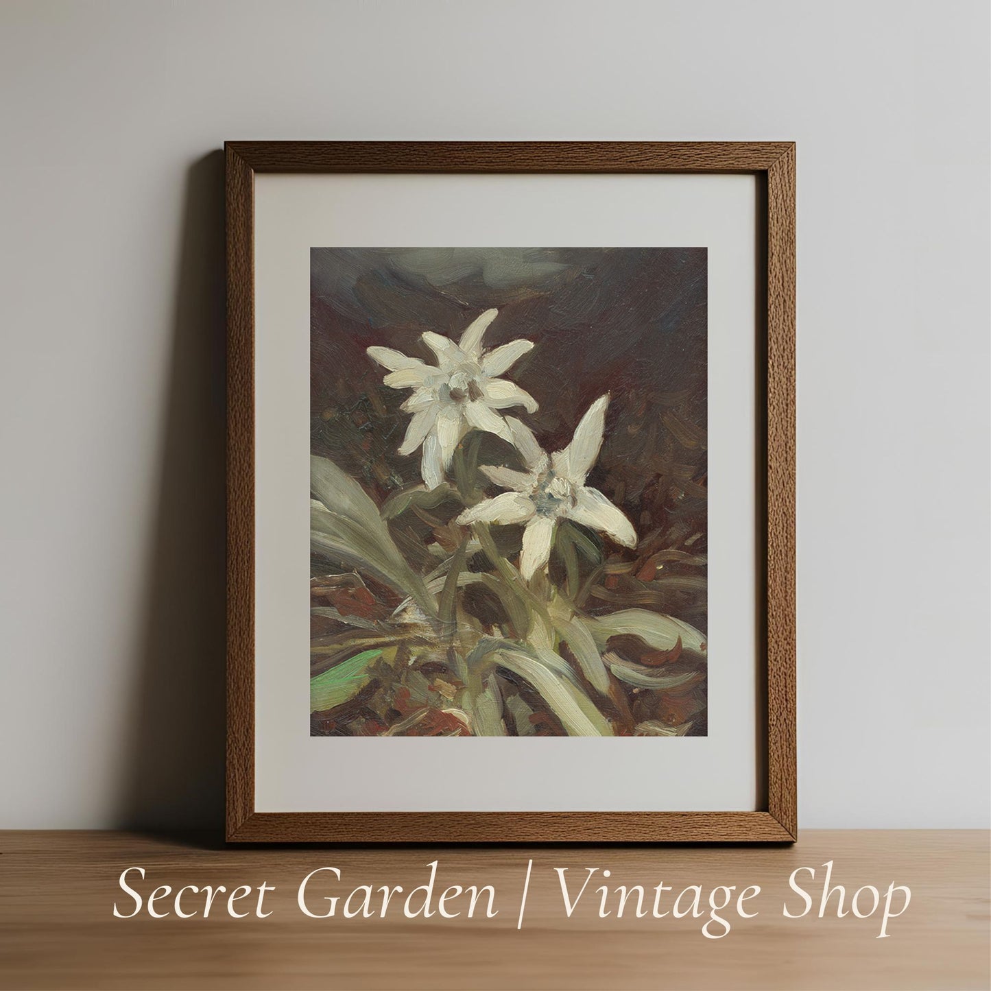 009 Edelweiss Flower Art Print