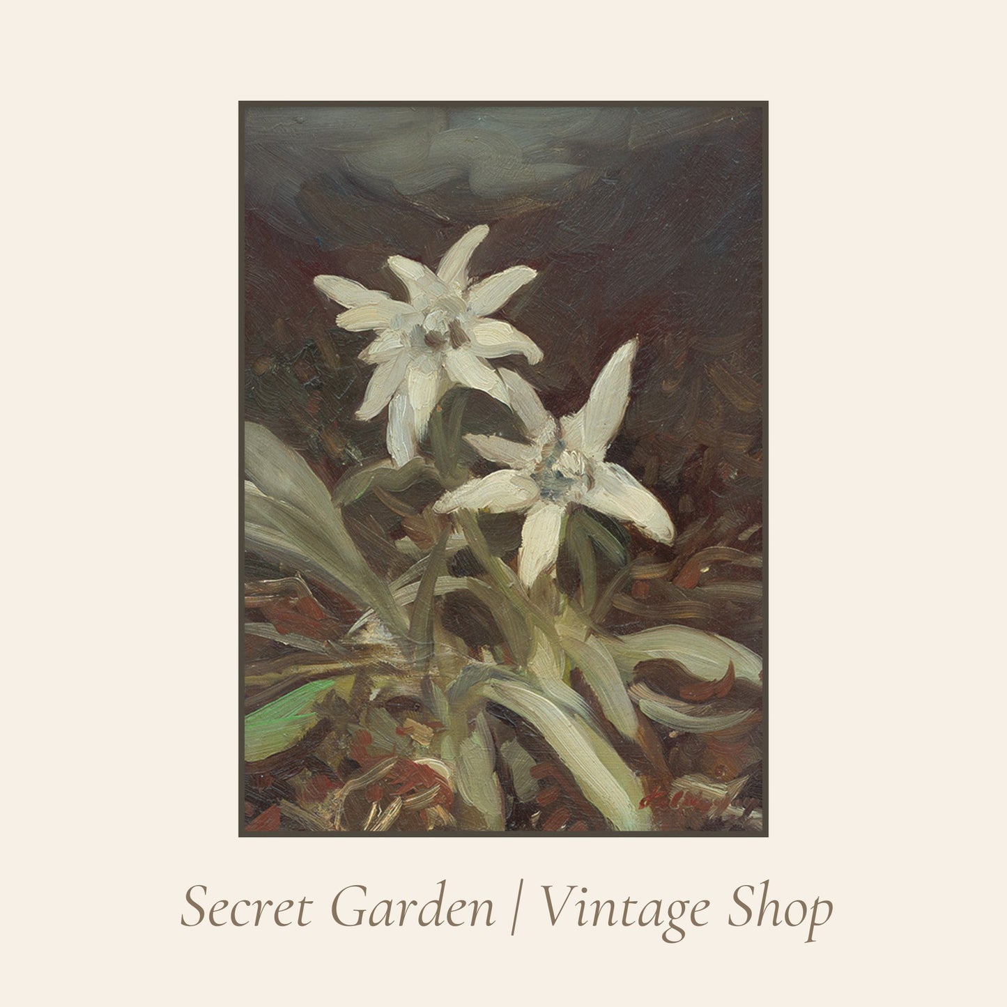 009 Edelweiss Flower Art Print
