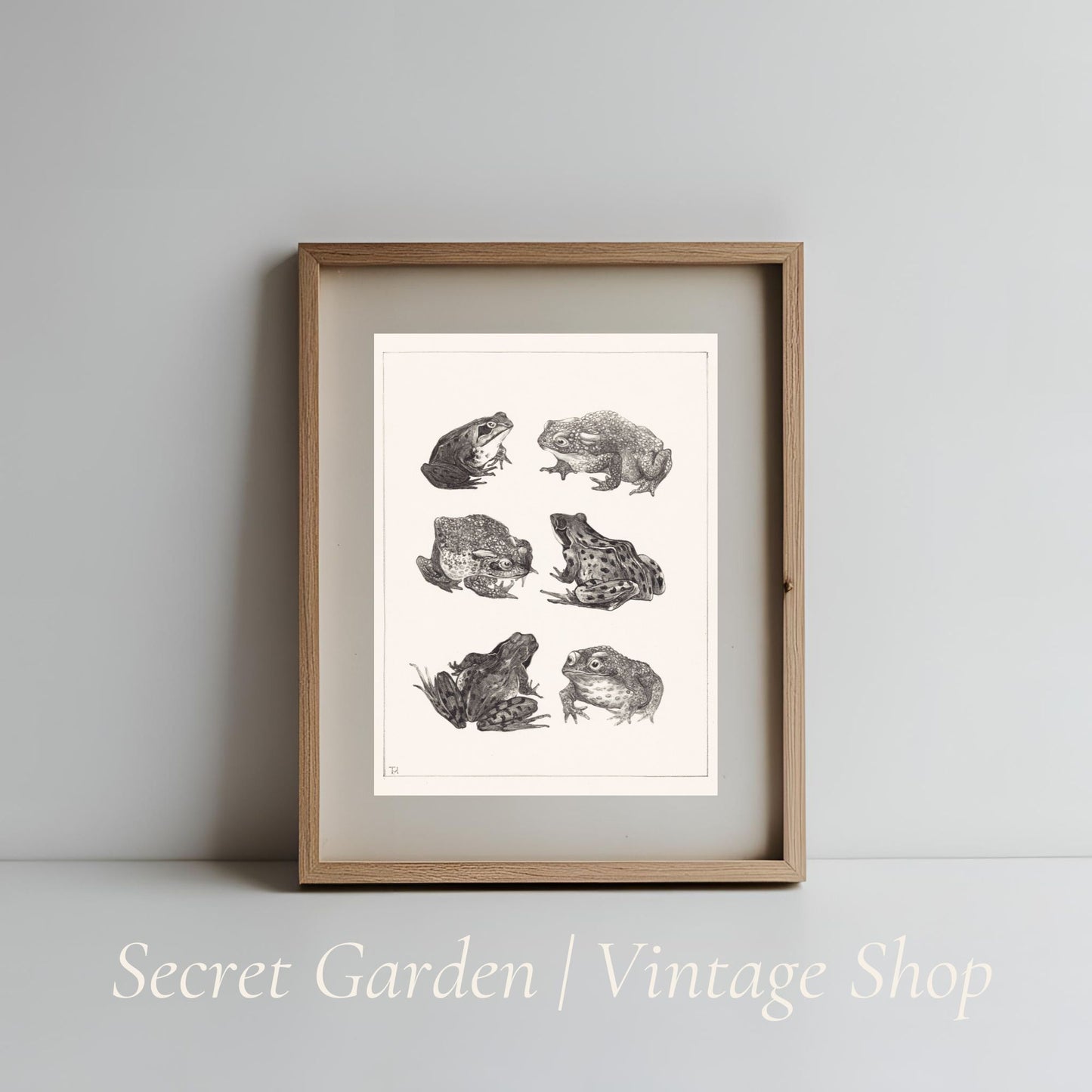 013 Frog & Toad Art Print