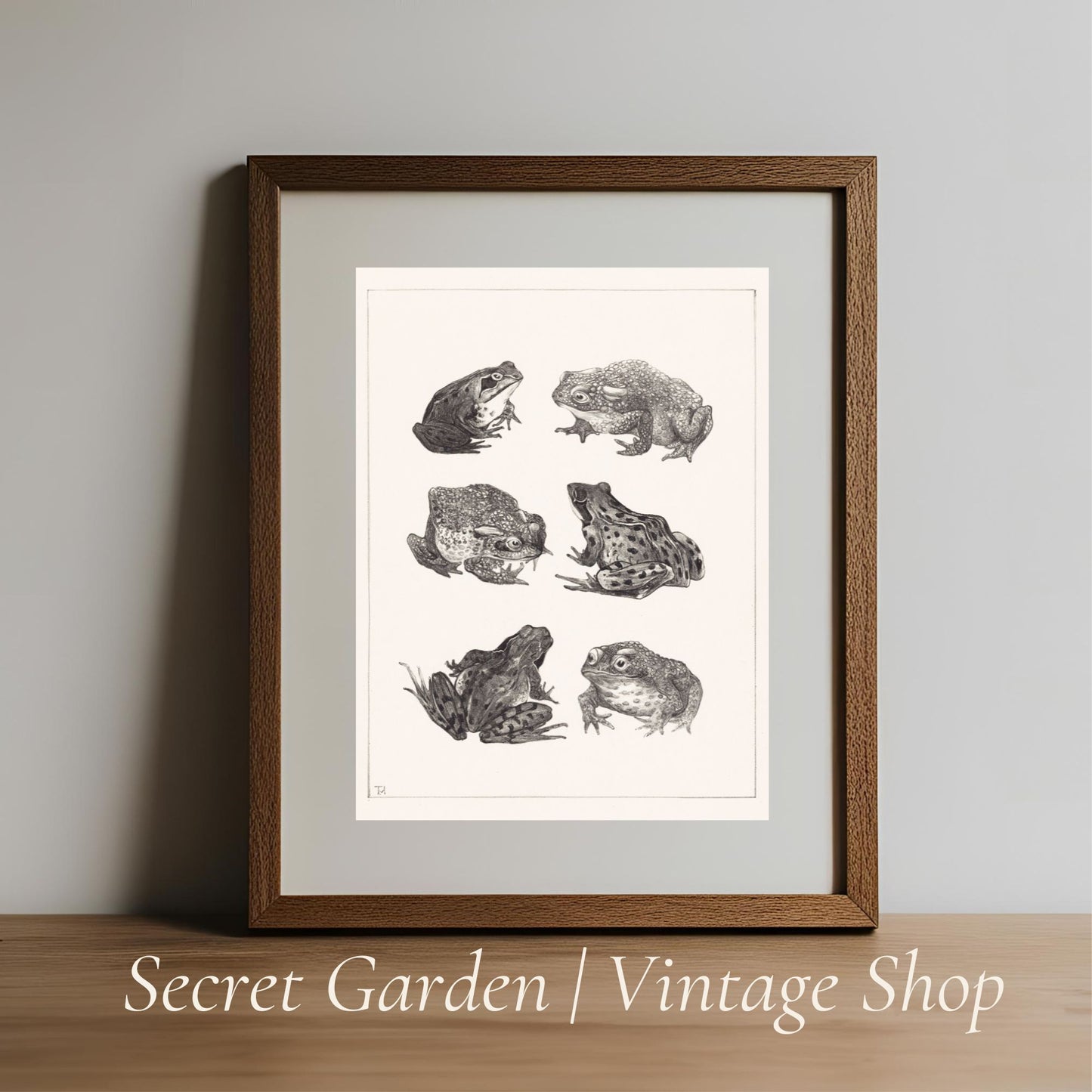 013 Frog & Toad Art Print