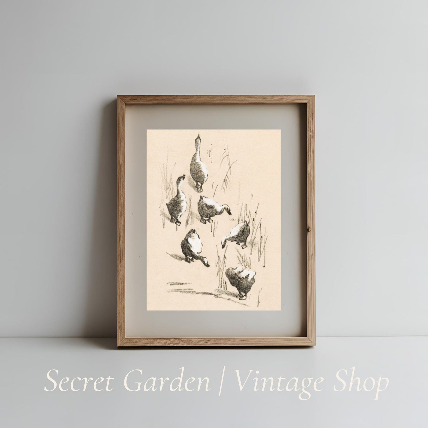 014 Ducks Gathering Art Print