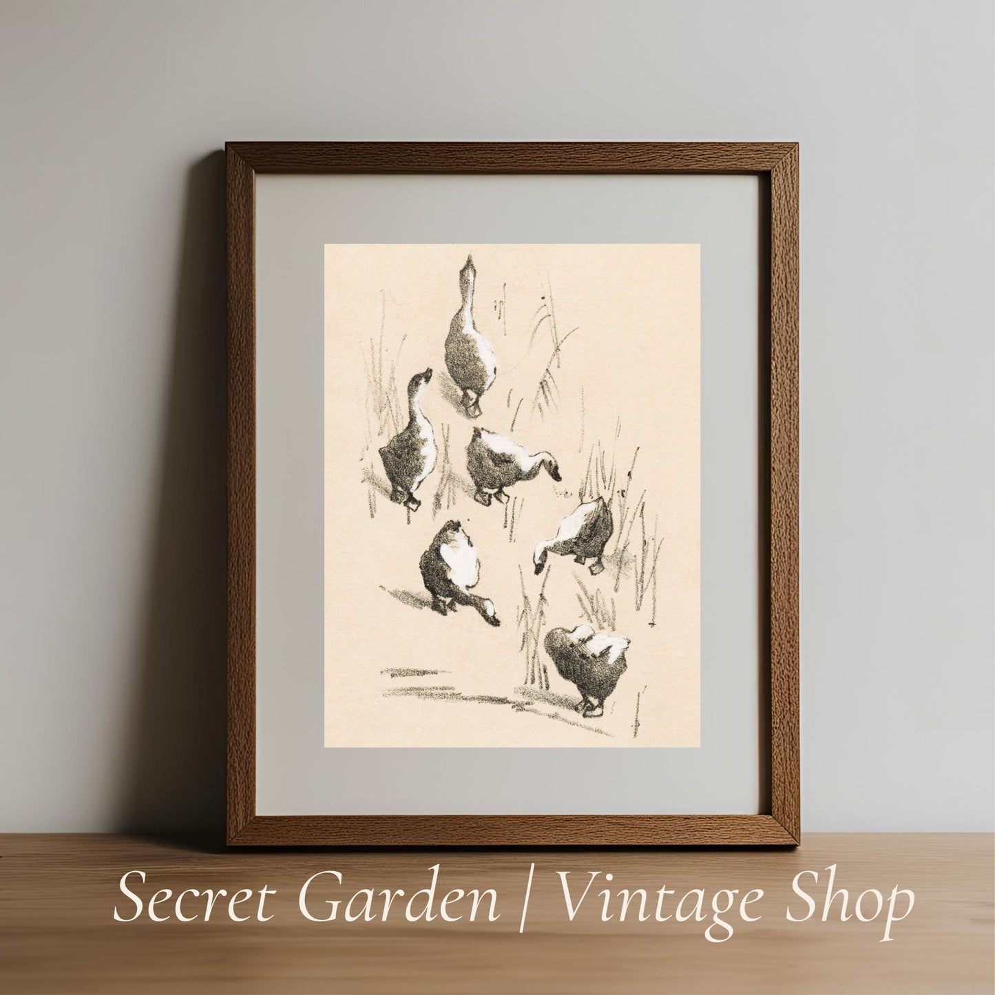 014 Ducks Gathering Art Print