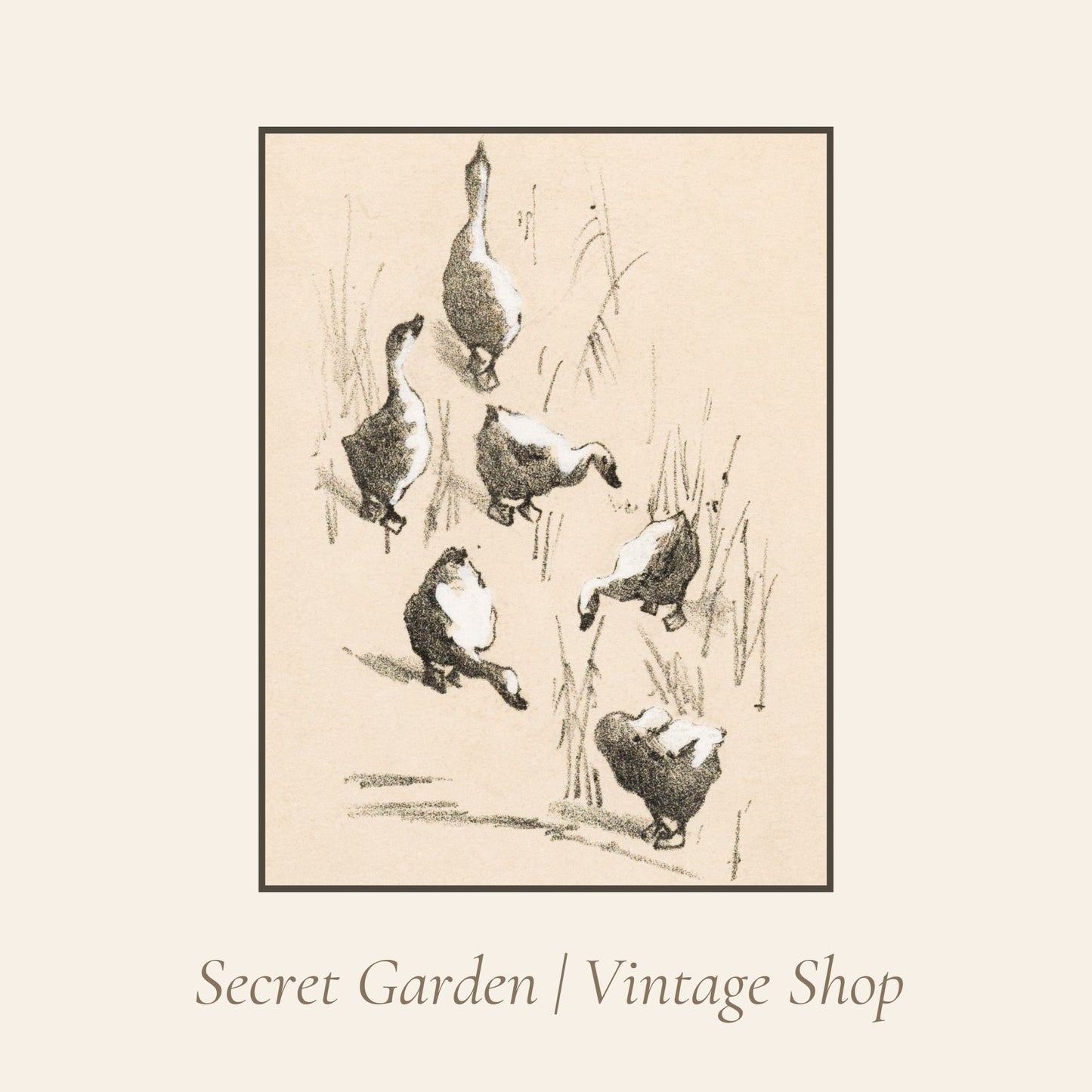 014 Ducks Gathering Art Print