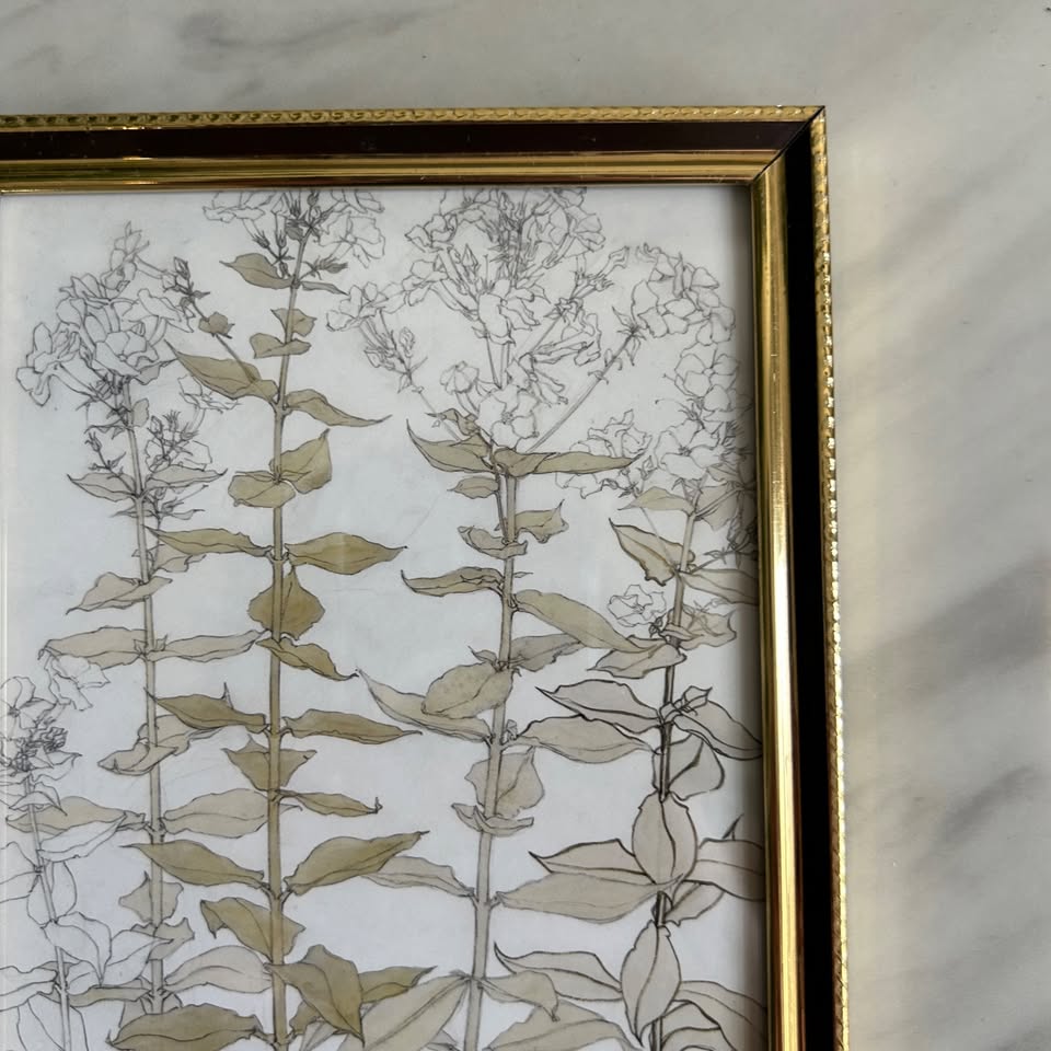 Vintage Botanical Art Print | Black Gold Frame