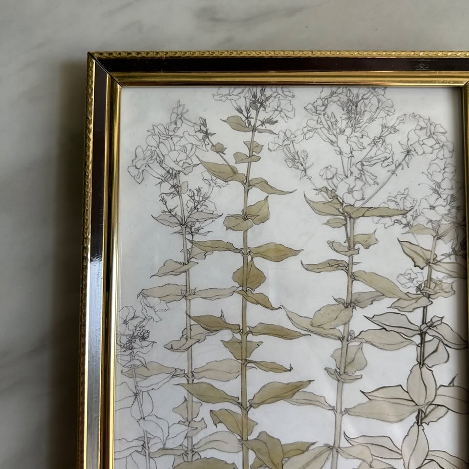 Vintage Botanical Art Print | Black Gold Frame