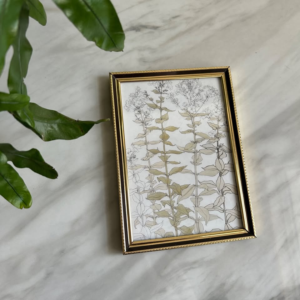 Vintage Botanical Art Print | Black Gold Frame