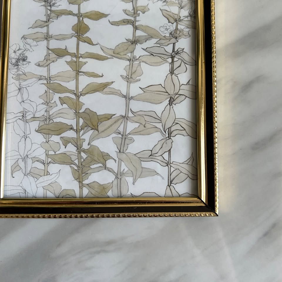 Vintage Botanical Art Print | Black Gold Frame