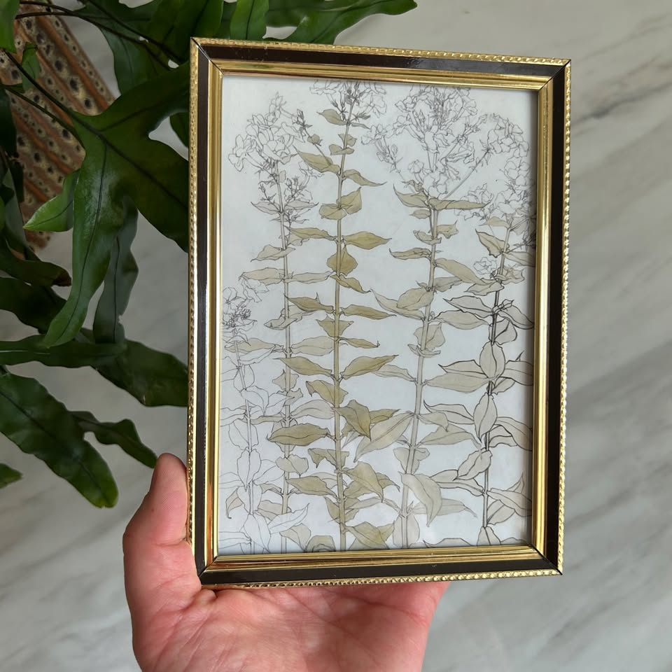 Vintage Botanical Art Print | Black Gold Frame