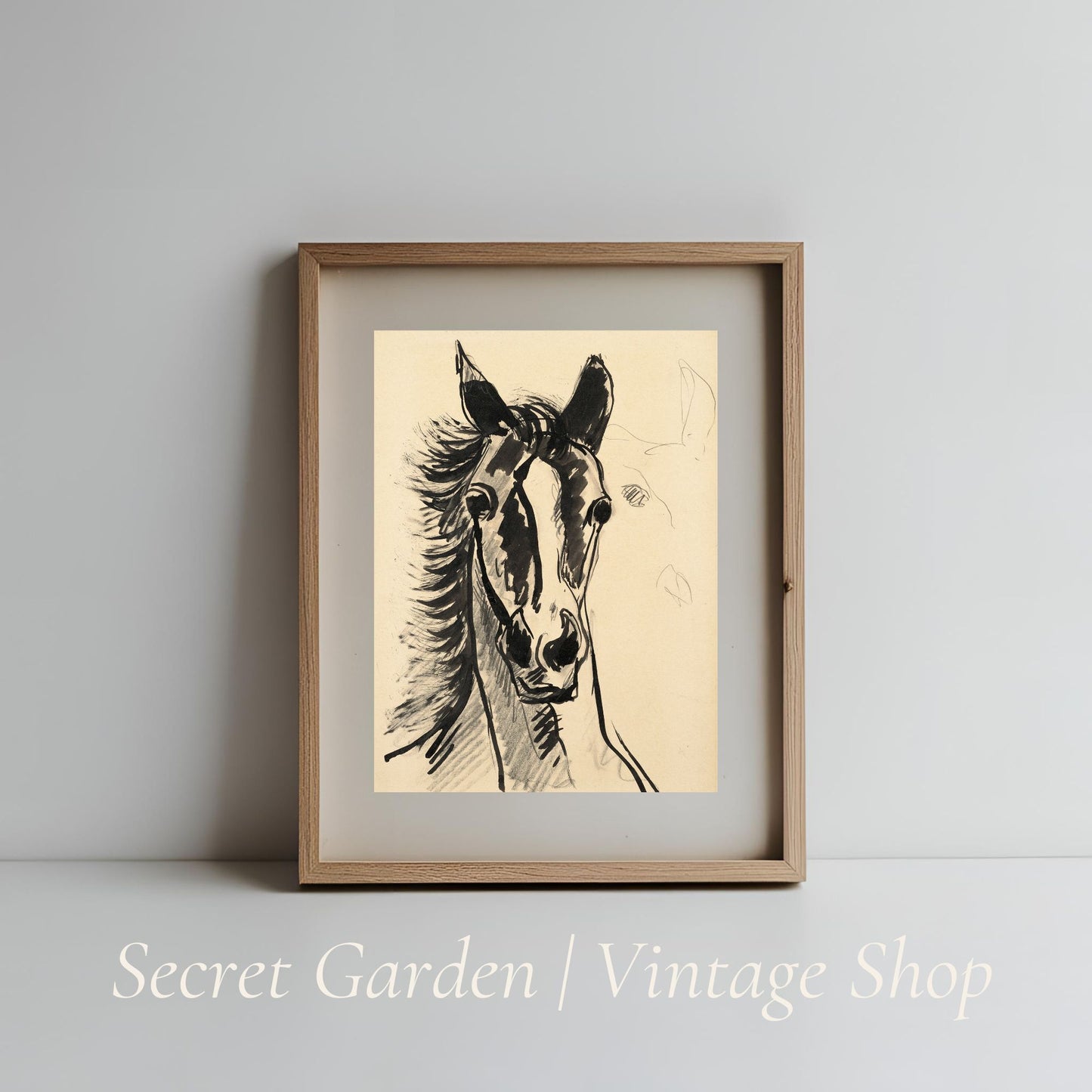 017 Horse Head Illustration Art Print