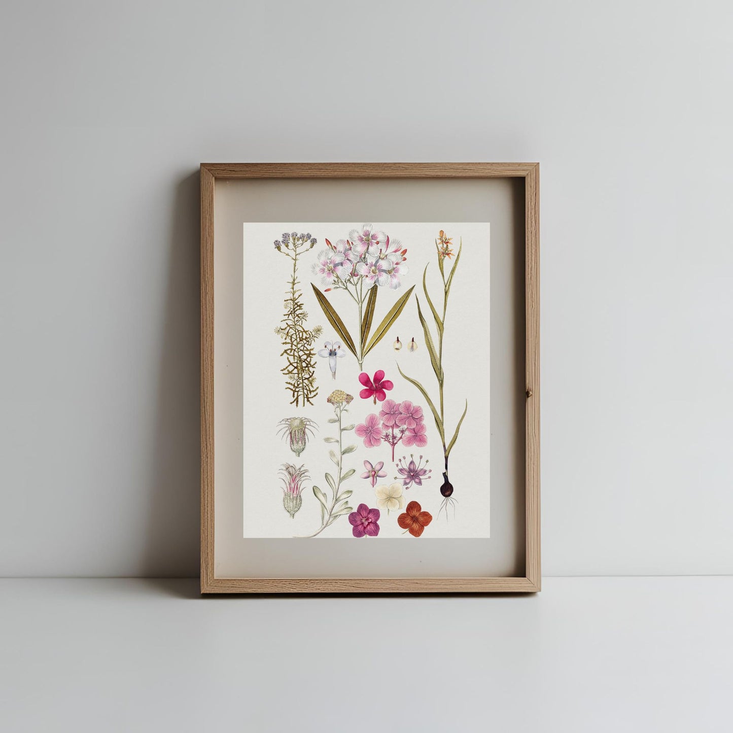 Vintage Art Prints - Gallery Wall #2 (no frames)