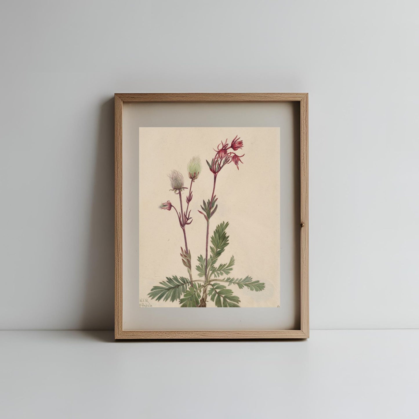 Vintage Art Prints - Gallery Wall #1 (no frames)