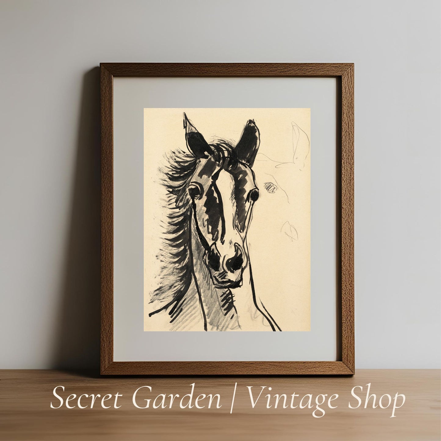 017 Horse Head Illustration Art Print