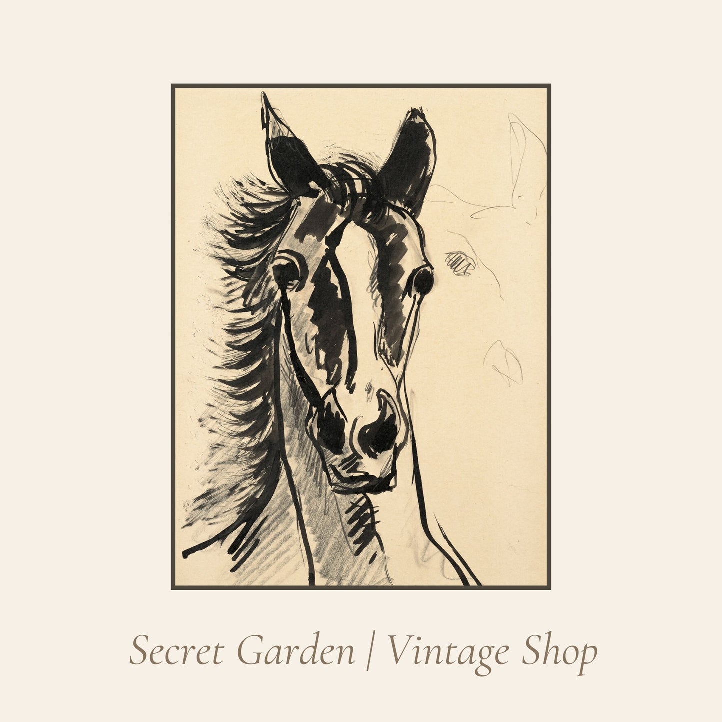 017 Horse Head Illustration Art Print