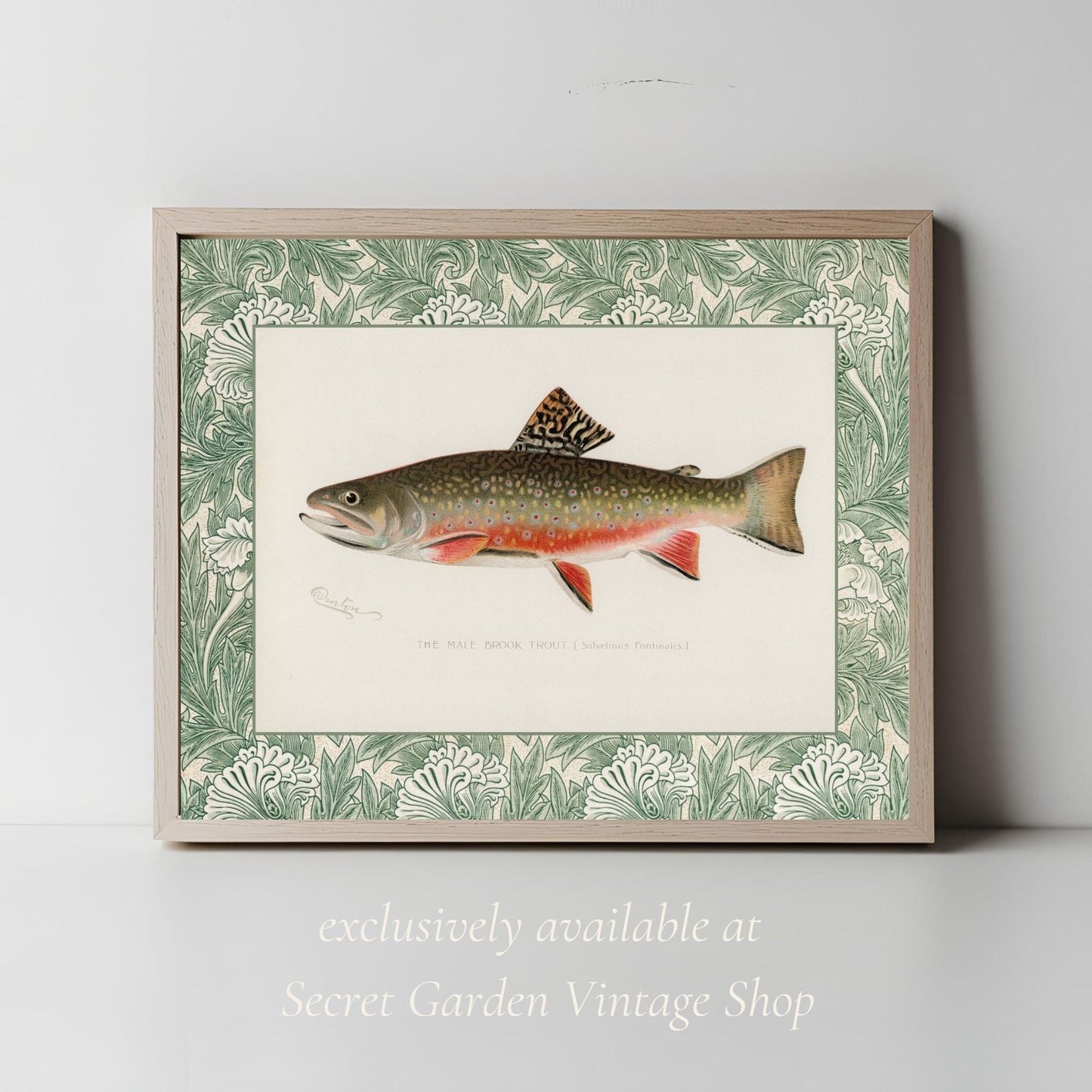 Zoological Art Print | Fish Art Print Set of Two | Brook Trout & Pickerel