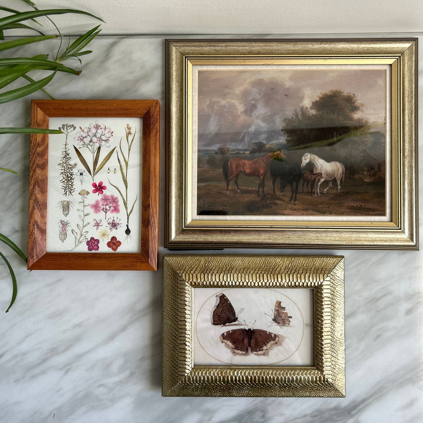 Vintage Art Prints - Gallery Wall #2 (no frames)