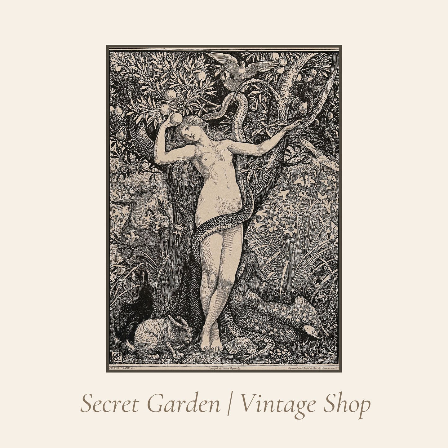 020 Vintage Eve Illustration Art Print