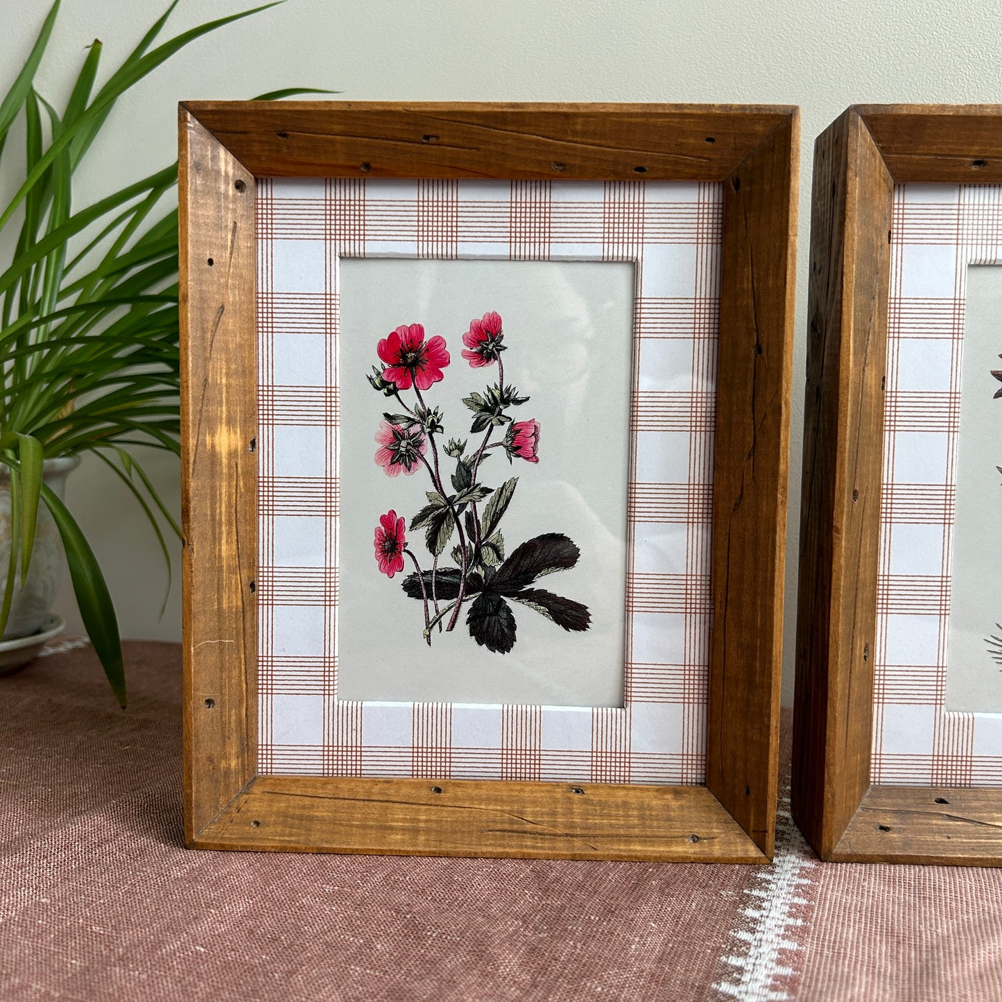 Vintage Floral Prints | Bespoke Custom Matting