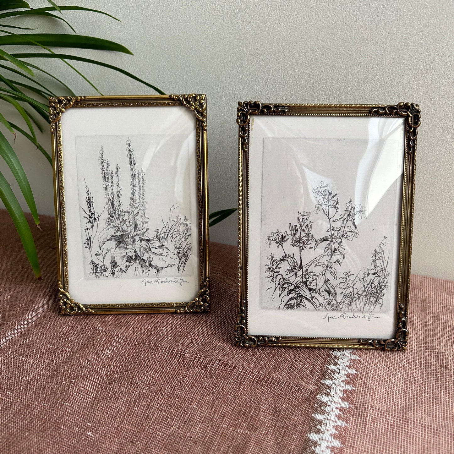 Vintage Botanical Art Print Set | Antique Frames