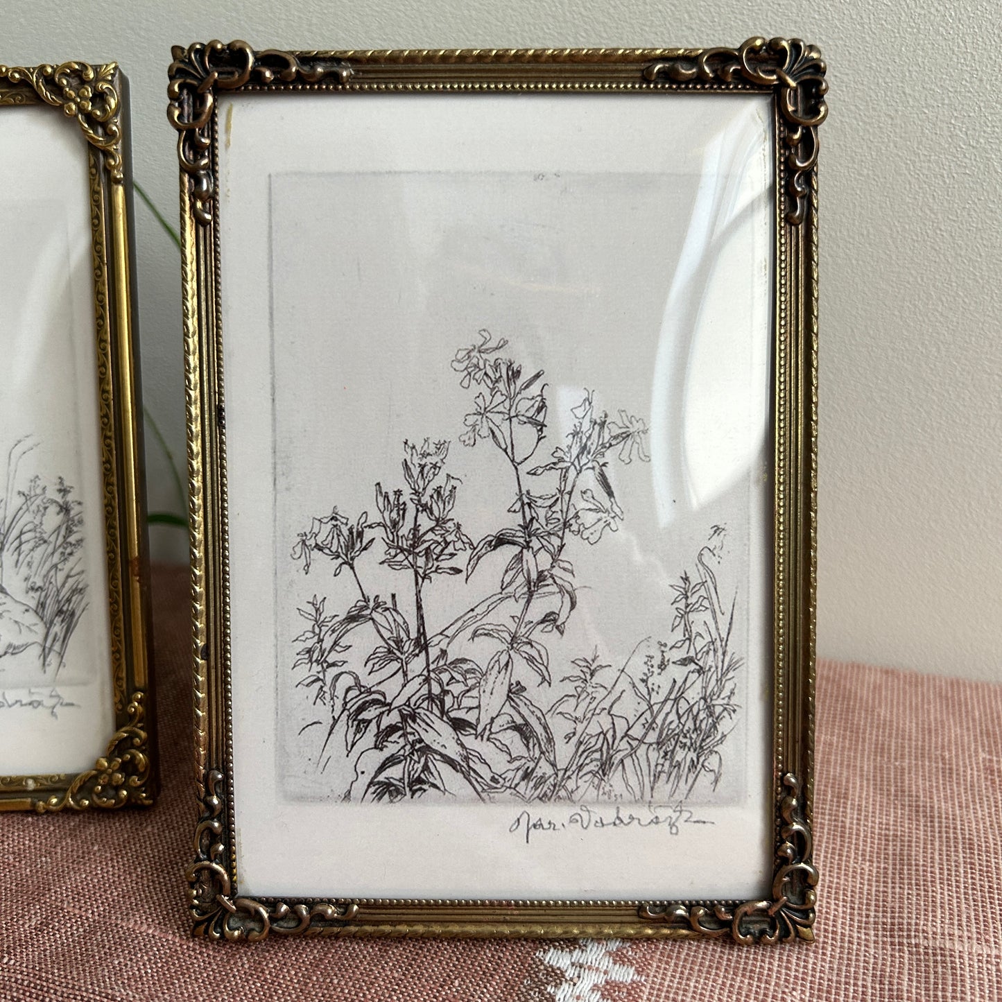Vintage Botanical Art Print Set | Antique Frames