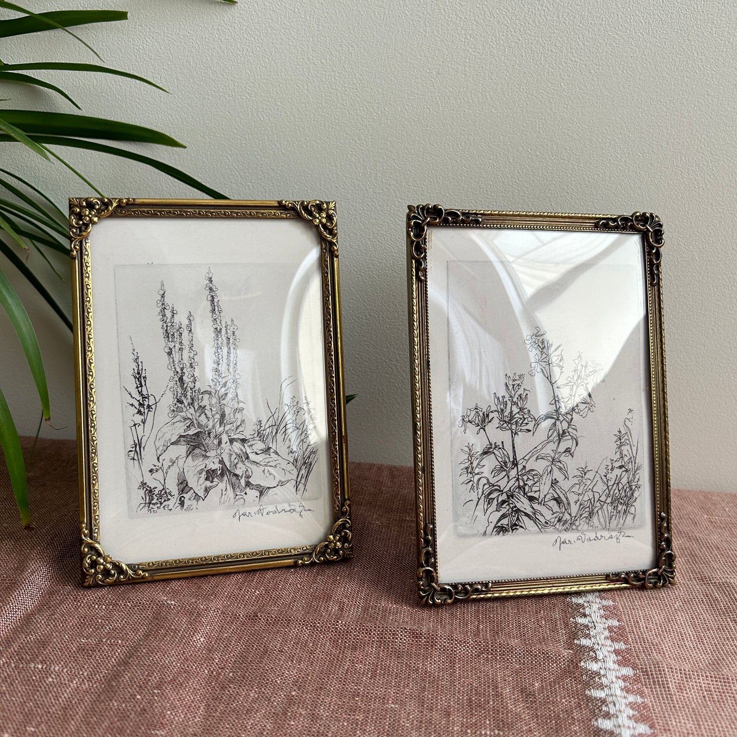 Vintage Botanical Art Print Set | Antique Frames