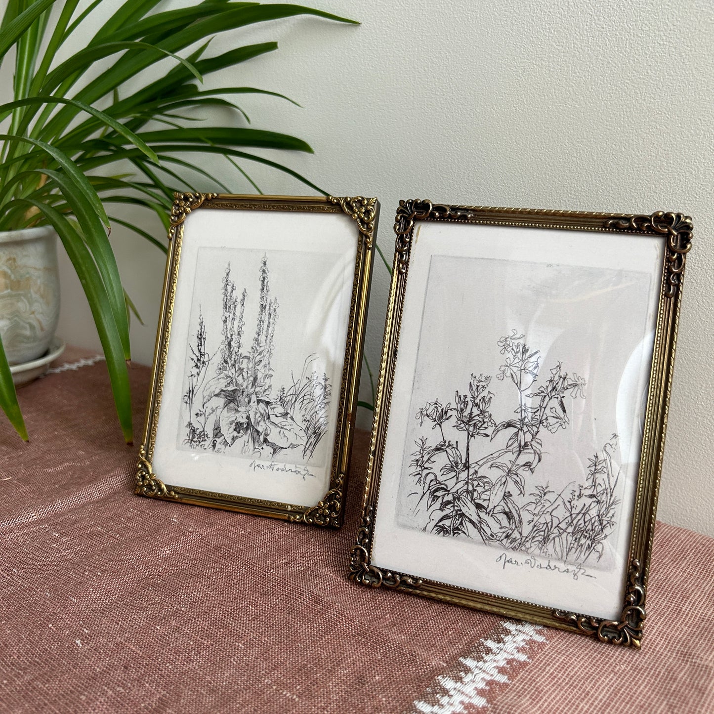 Vintage Botanical Art Print Set | Antique Frames