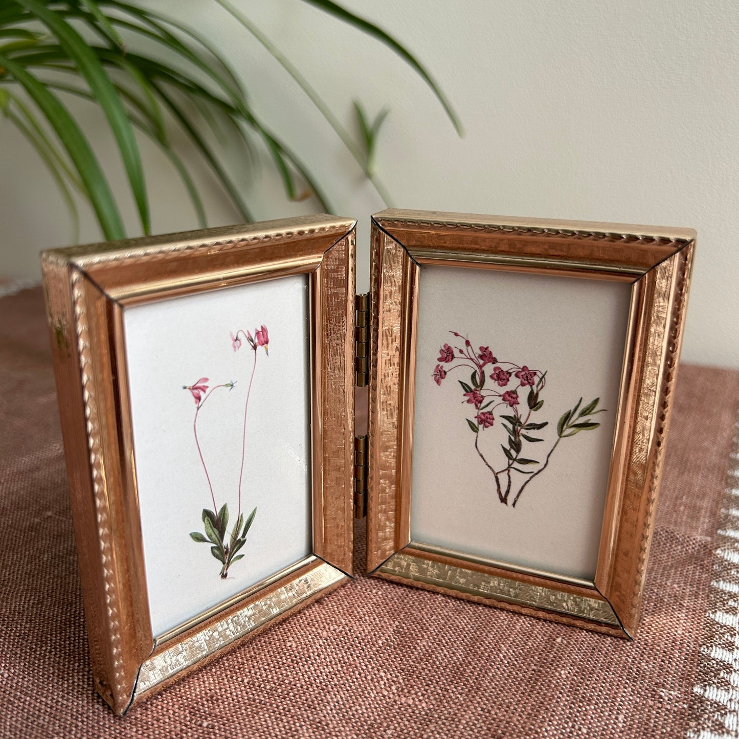 Tiny Vintage Botanical Art Prints | Hinged Gold Frame