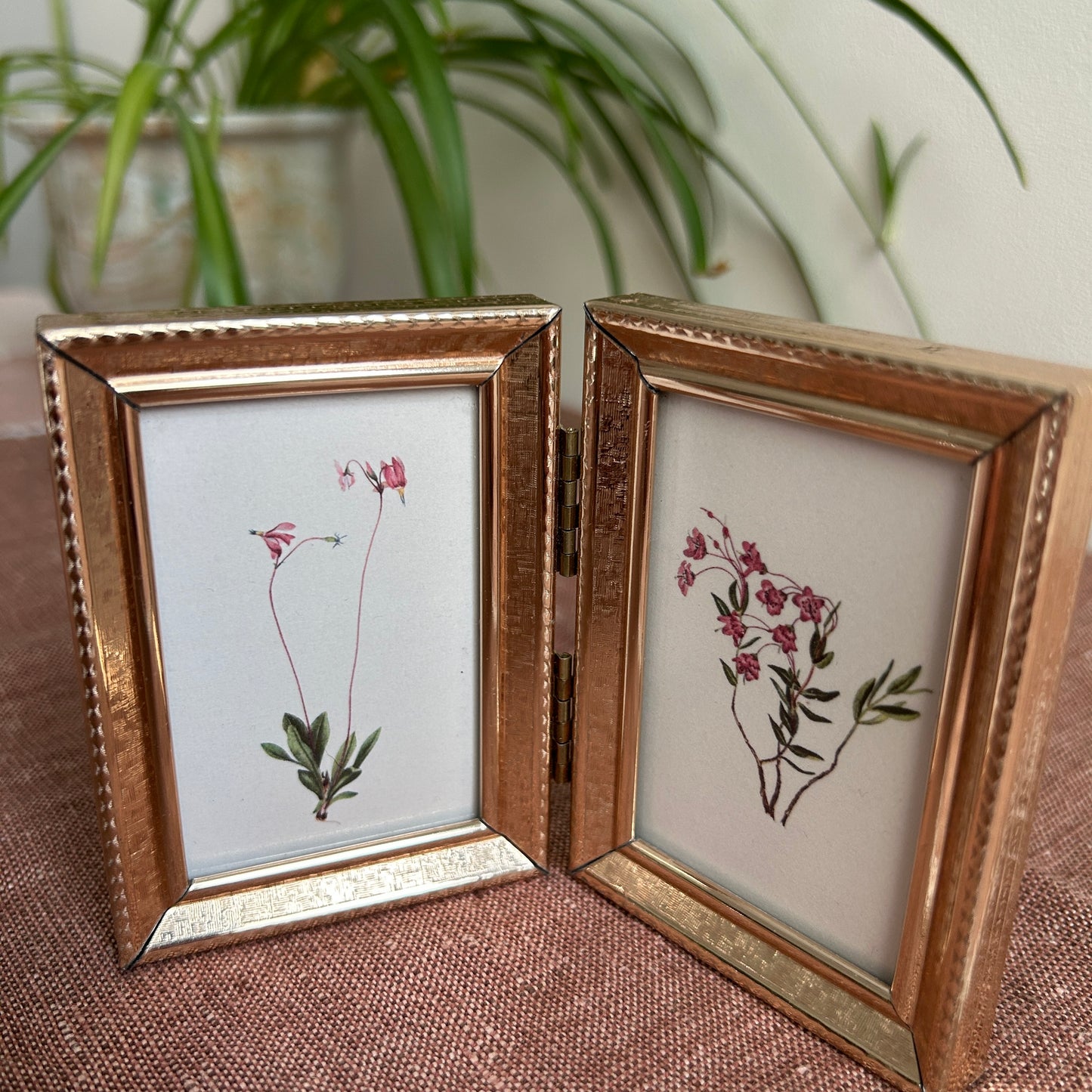 Tiny Vintage Botanical Art Prints | Hinged Gold Frame