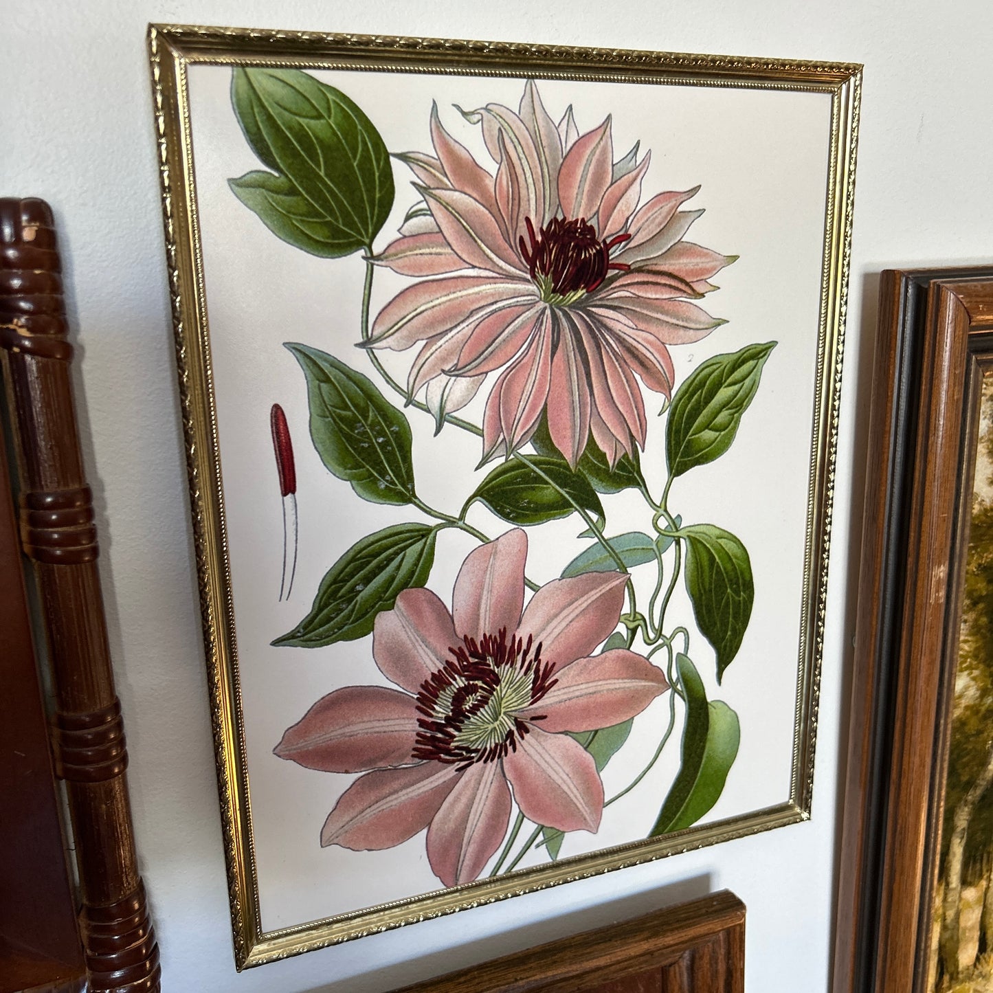 Gallery Wall # 1 - Framed vintage equestrian, botanical, landscape art