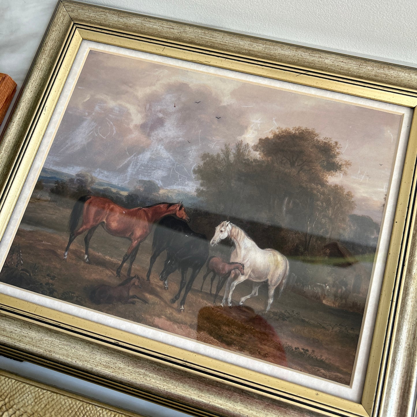Gallery Wall # 2 - Framed vintage equestrian, botanical, moth art