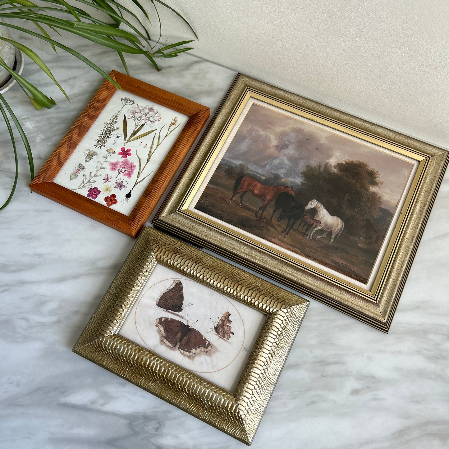Gallery Wall # 2 - Framed vintage equestrian, botanical, moth art