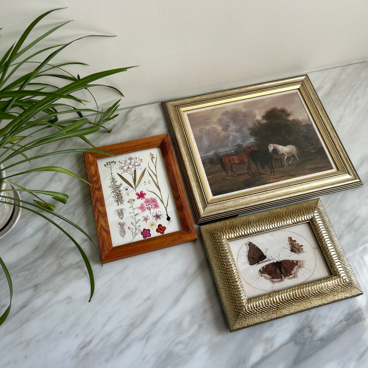 Gallery Wall # 2 - Framed vintage equestrian, botanical, moth art