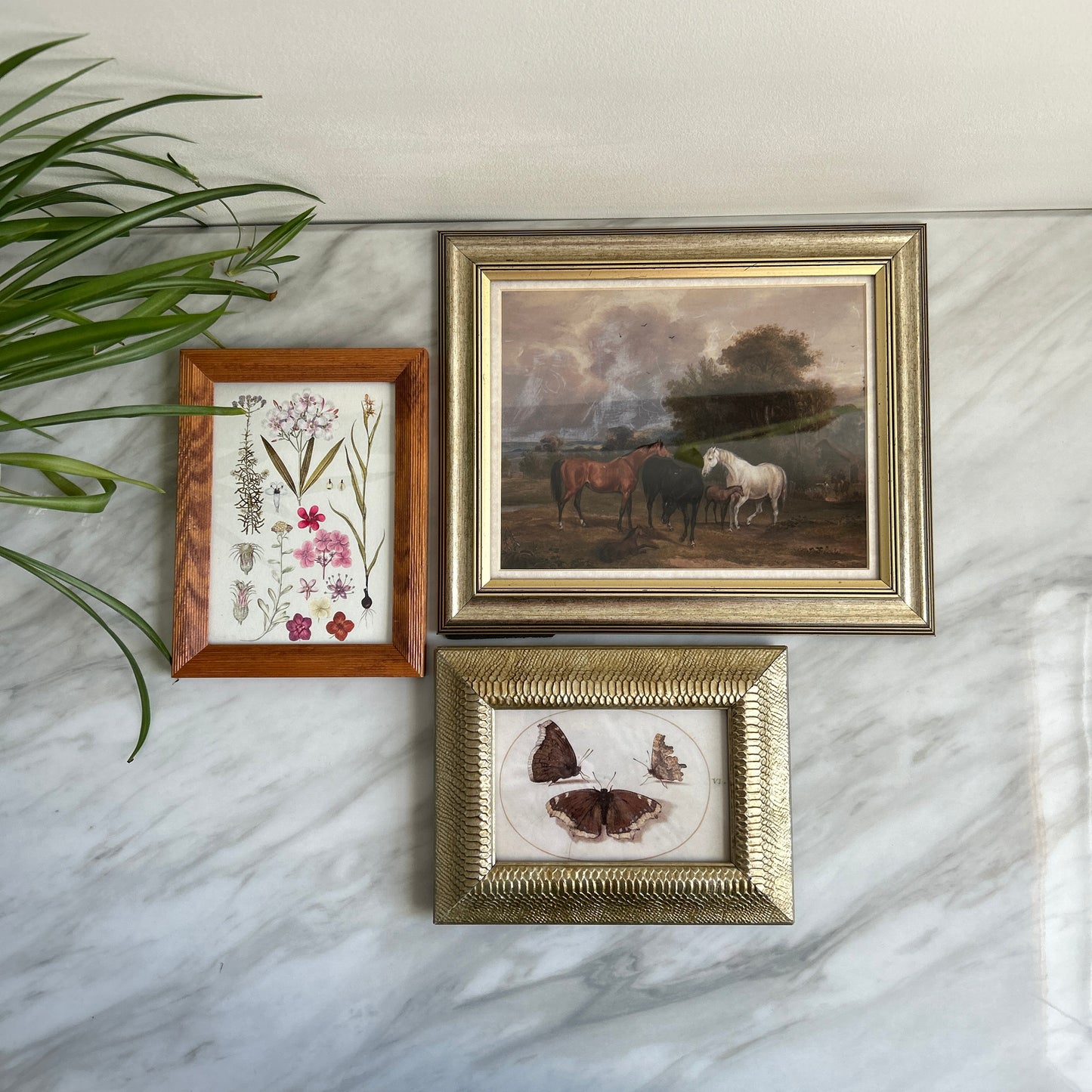 Gallery Wall # 2 - Framed vintage equestrian, botanical, moth art