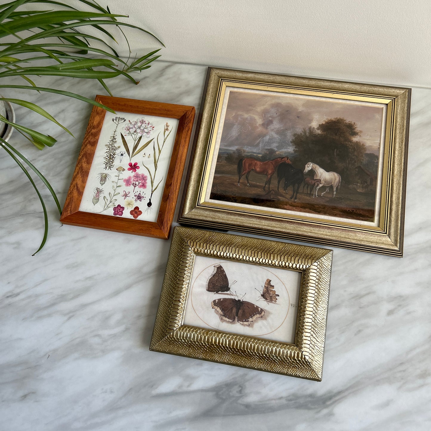 Gallery Wall # 2 - Framed vintage equestrian, botanical, moth art
