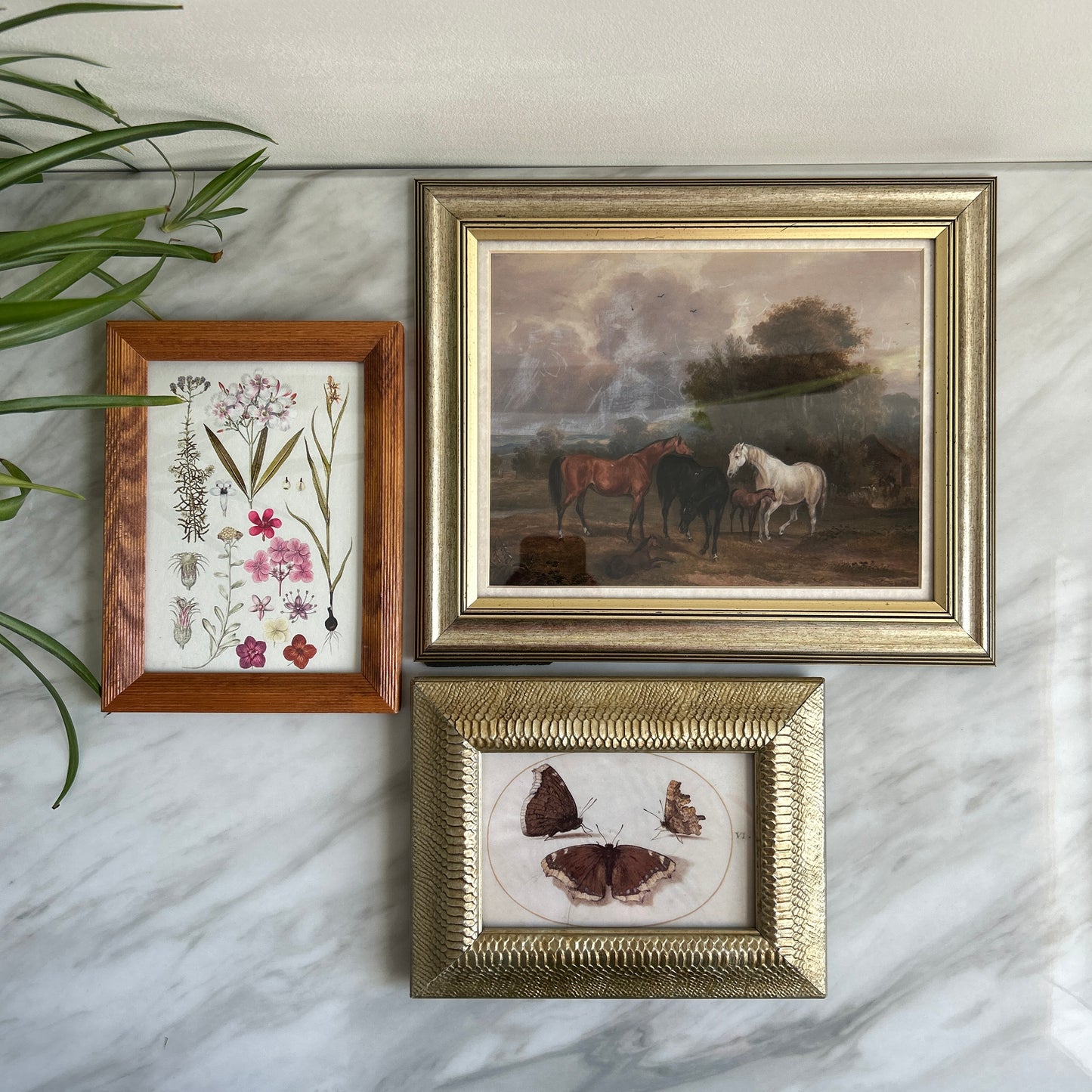 Gallery Wall # 2 - Framed vintage equestrian, botanical, moth art