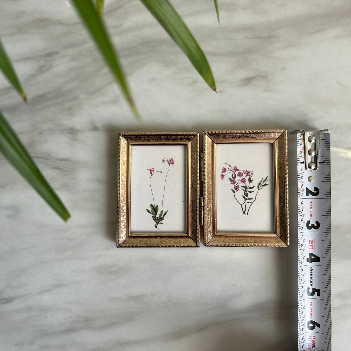 Tiny Vintage Botanical Art Prints | Hinged Gold Frame