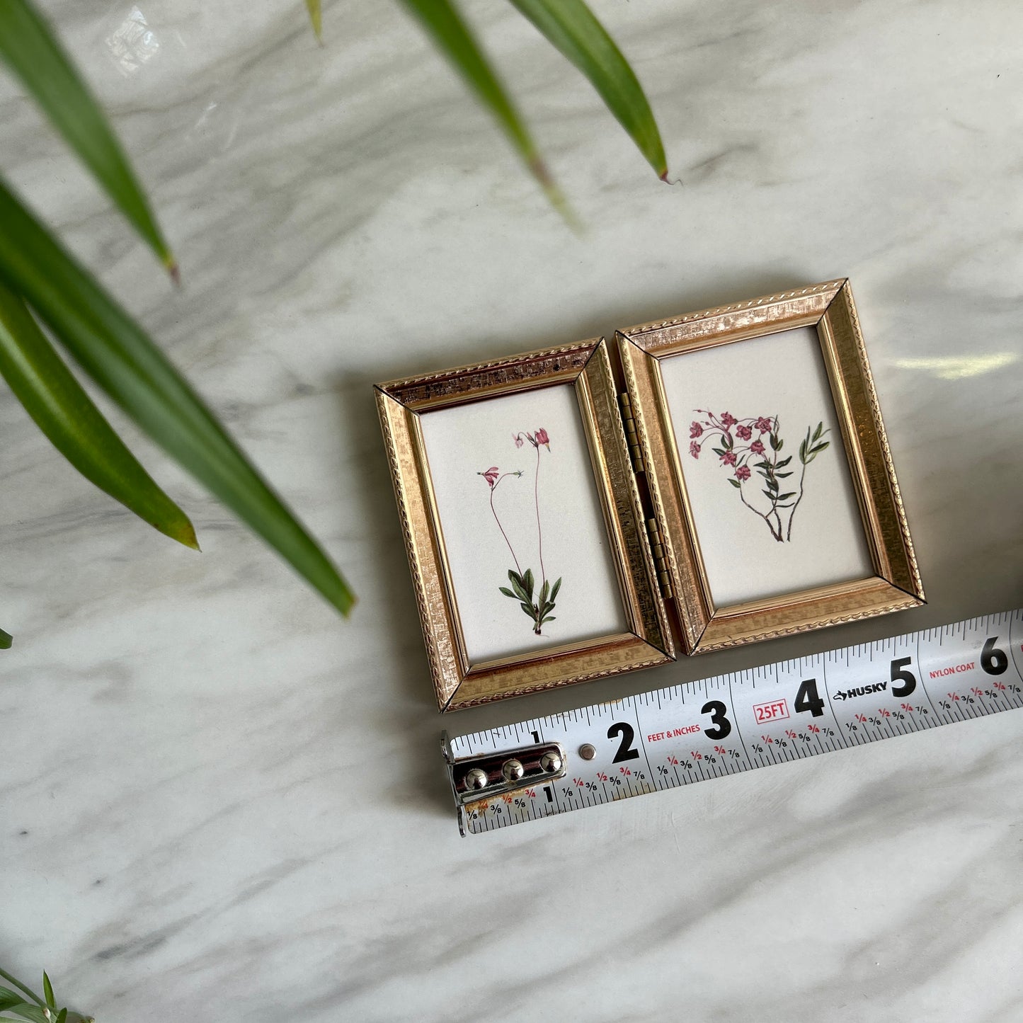 Tiny Vintage Botanical Art Prints | Hinged Gold Frame
