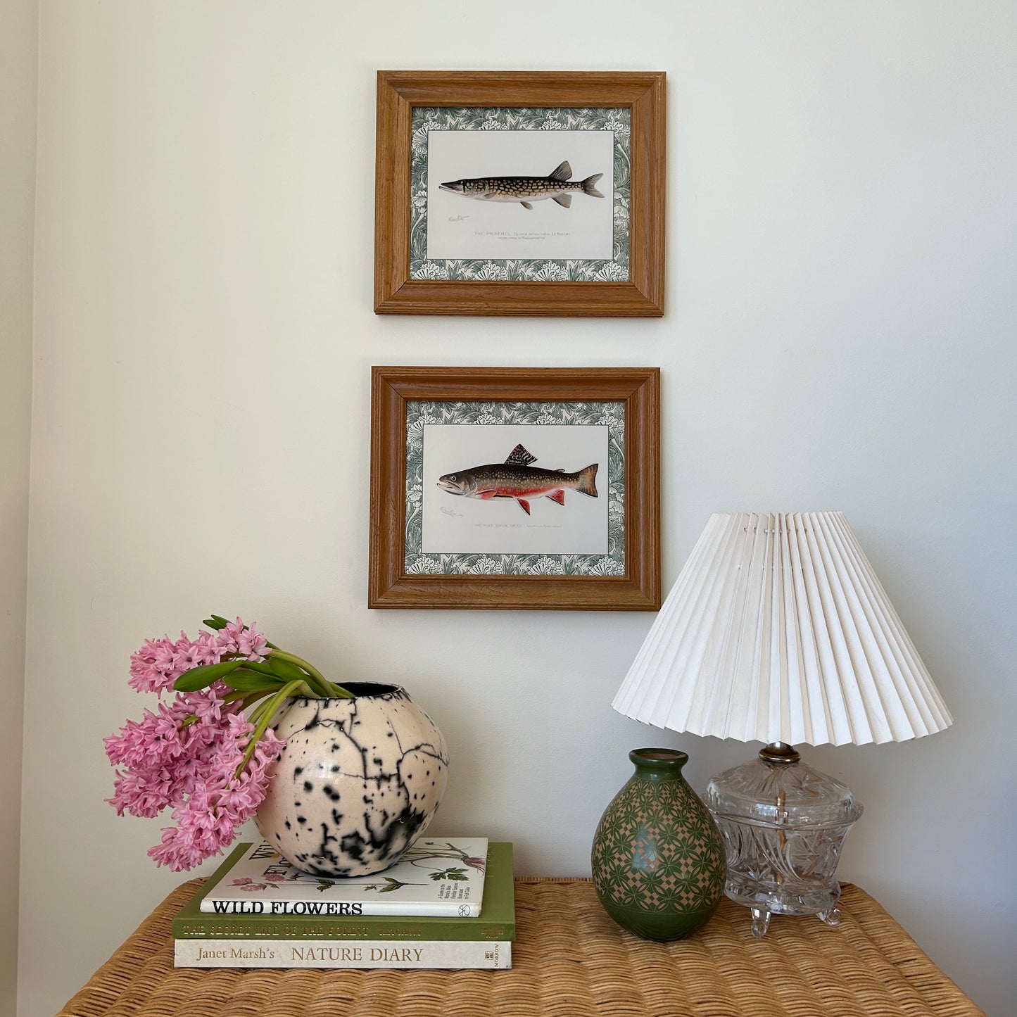 Vintage Zoological Fish Print Set – Brook Trout & Pickerel | Framed in Wooden Frames
