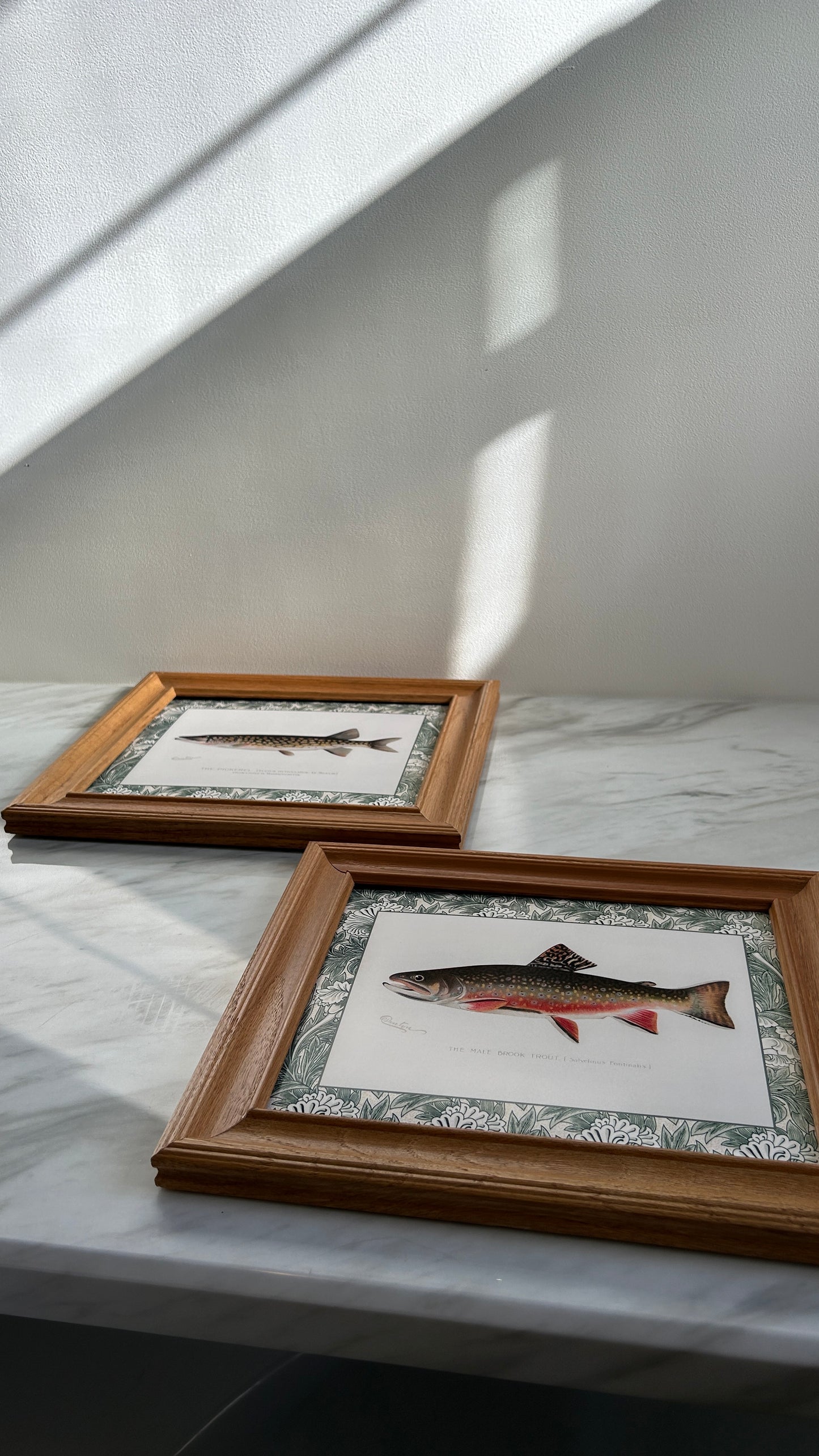 Vintage Zoological Fish Print Set – Brook Trout & Pickerel | Framed in Wooden Frames