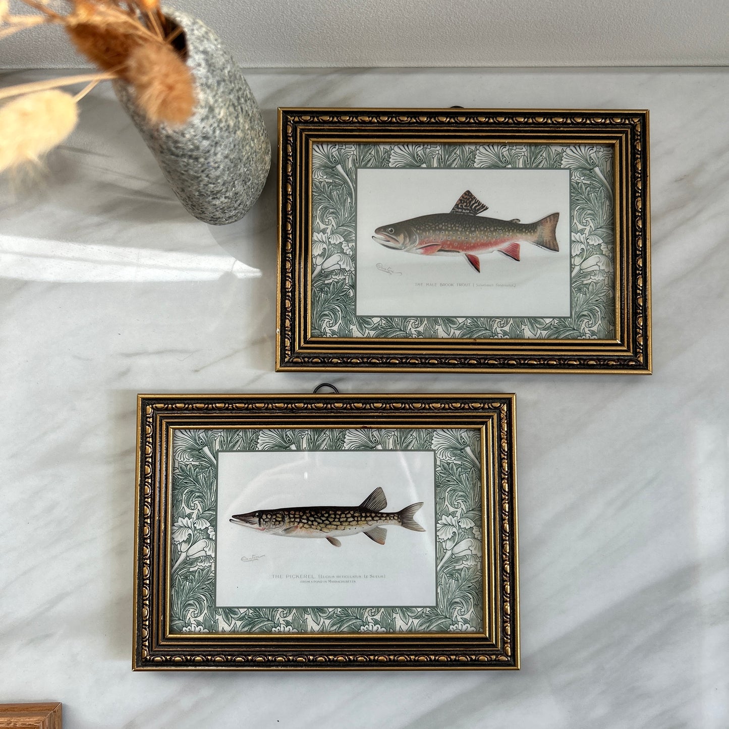 Vintage Zoological Fish Print Set – Brook Trout & Pickerel | Framed in Ornate Frames