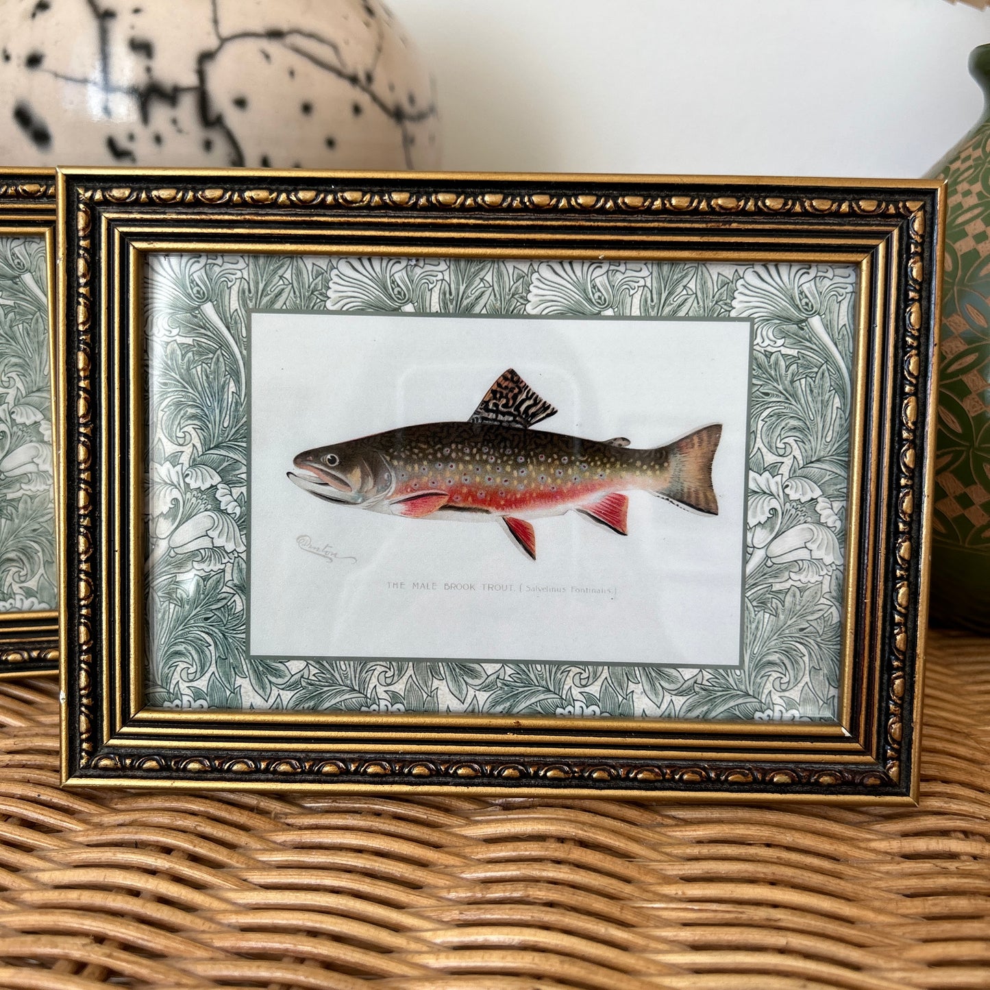 Vintage Zoological Fish Print Set – Brook Trout & Pickerel | Framed in Ornate Frames