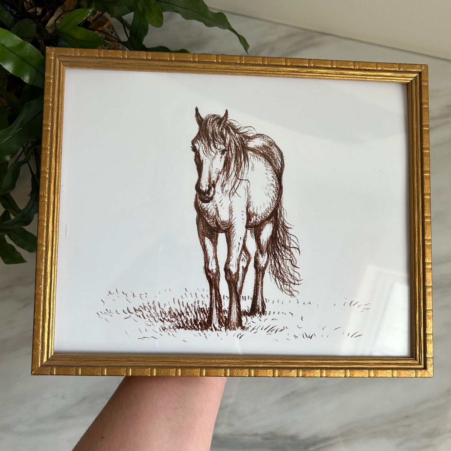 Horse Illustration Print | Gold Wood Frame