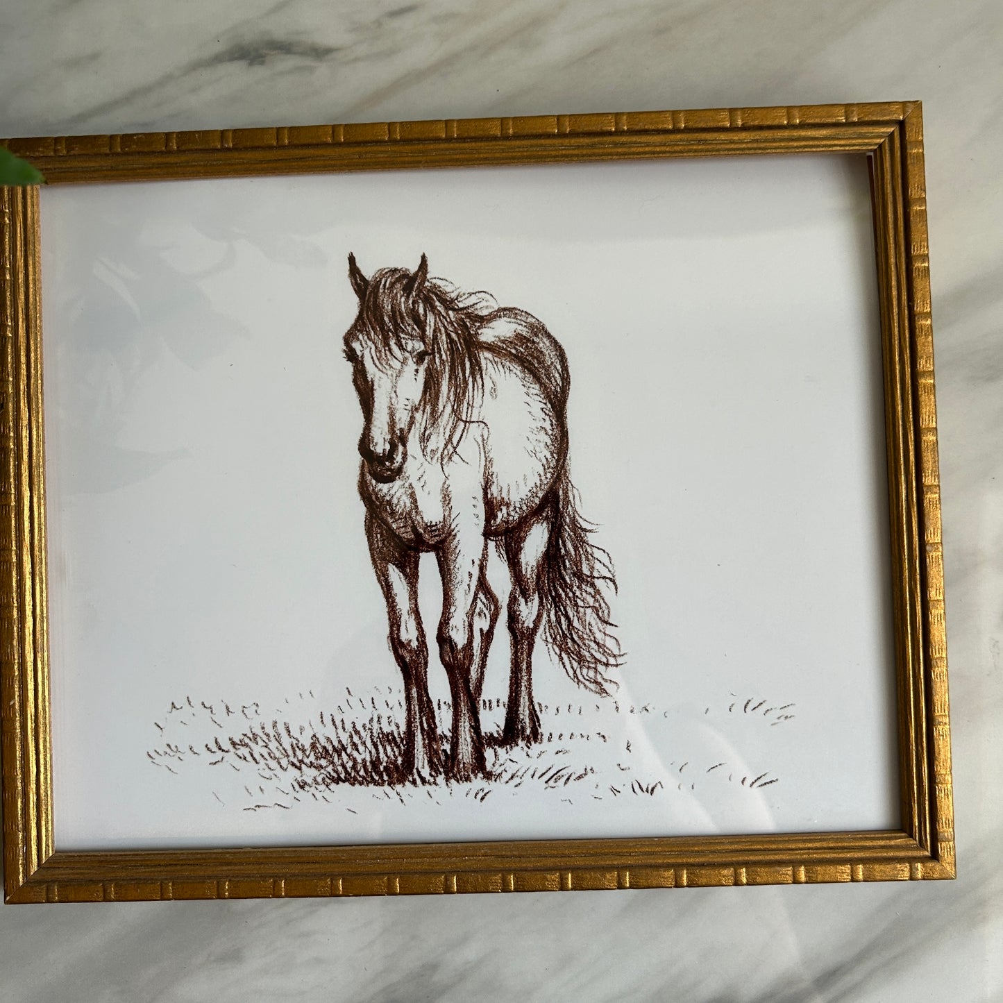 Horse Illustration Print | Gold Wood Frame