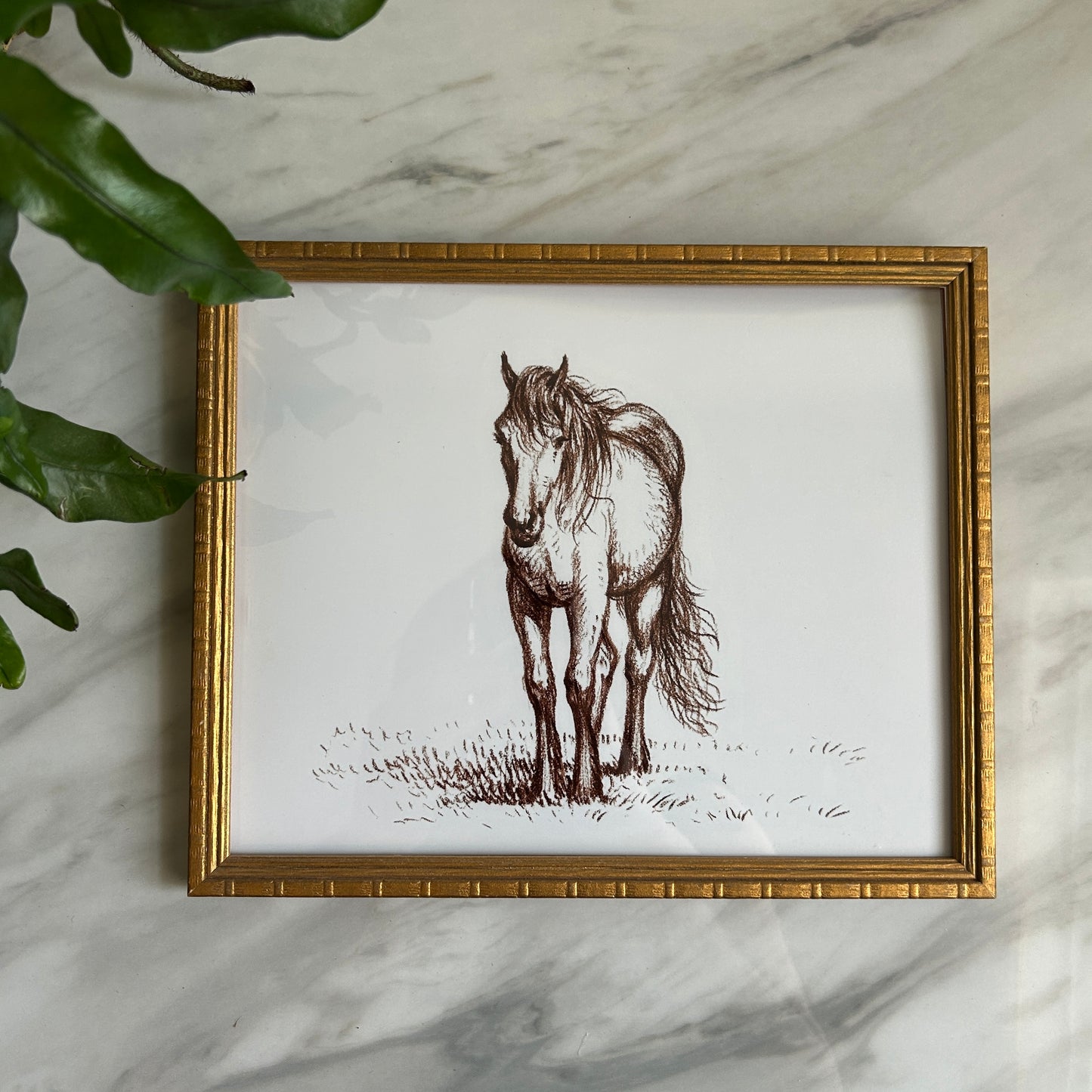 Horse Illustration Print | Gold Wood Frame